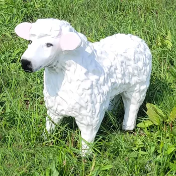 Zahradní ovečka stojící